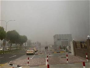 UAE Weather: Fog Cov...